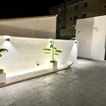 Toni * Denia